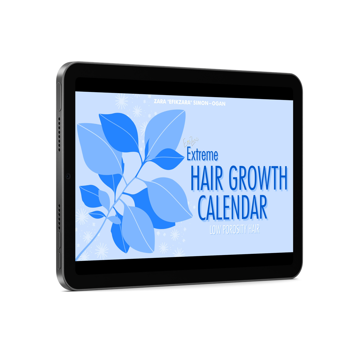 Extreme Growth Calendar digital book